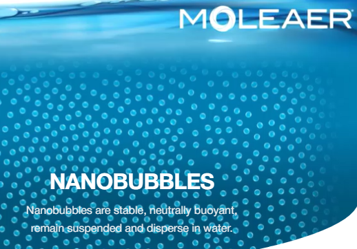 Moleaer nanobubbles